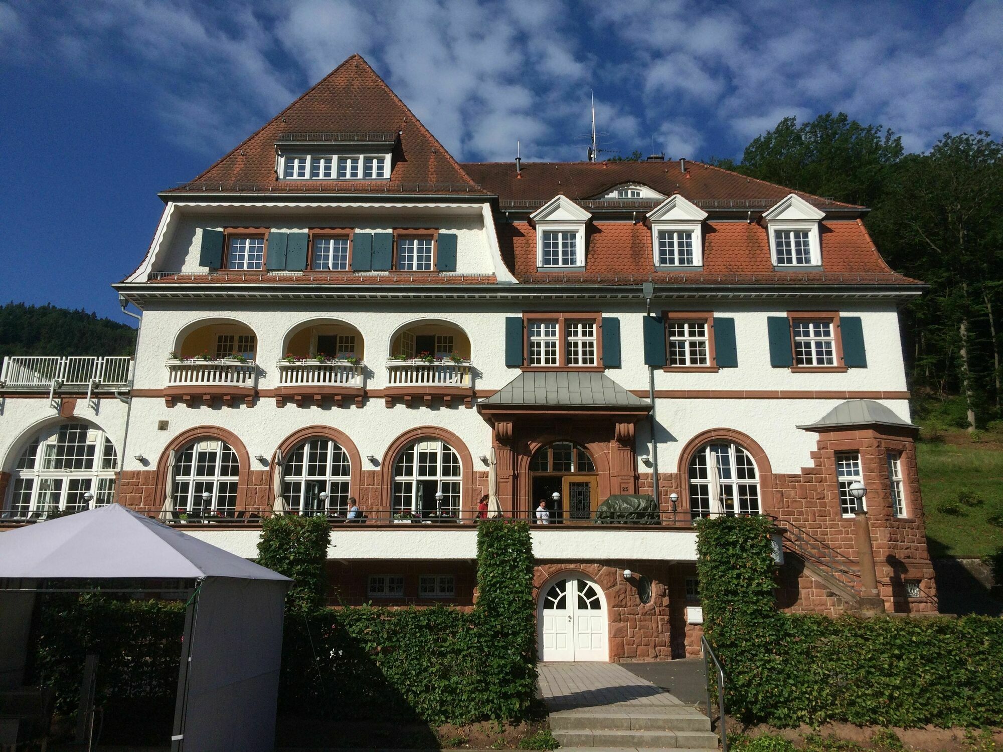 Hotel Jugendstilhotel Trifels Annweiler am Trifels